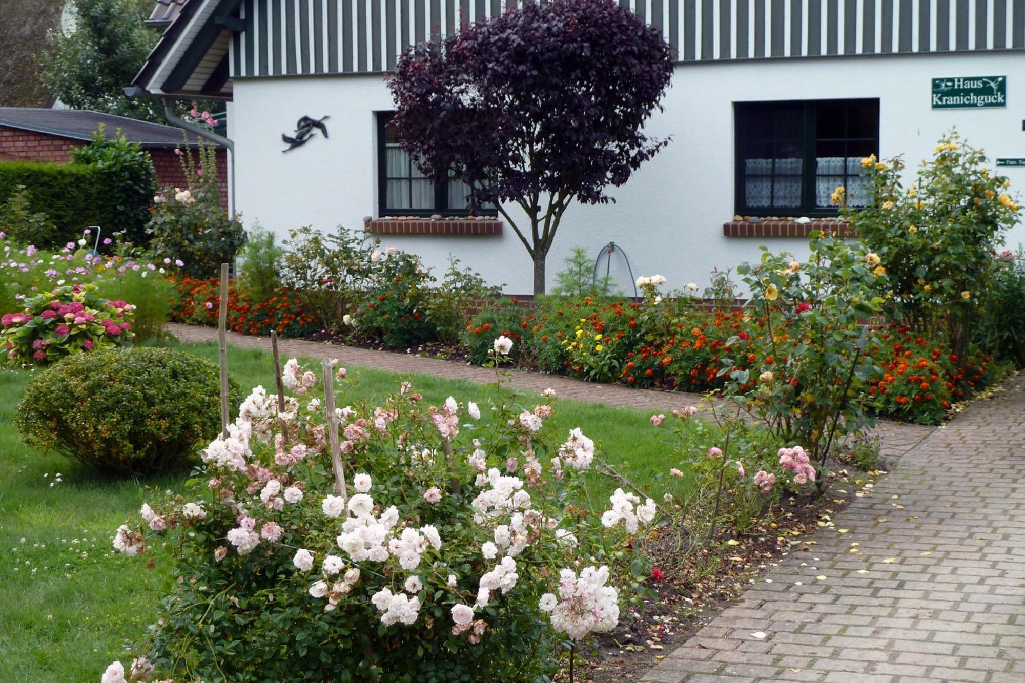Kranichguck, App 1 Apartment Zingst Exterior photo